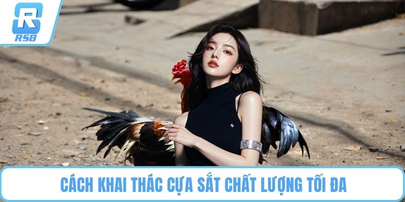 Cách khai thác cựa sắt chất lượng tối đa