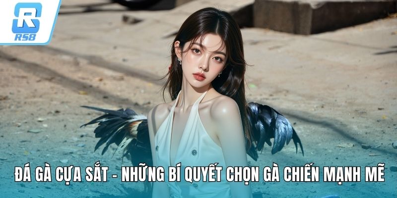 Đá gà cựa sắt RS8