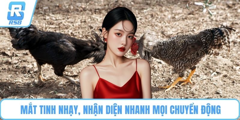 Mắt tinh nhạy, nhận diện nhanh mọi chuyển động