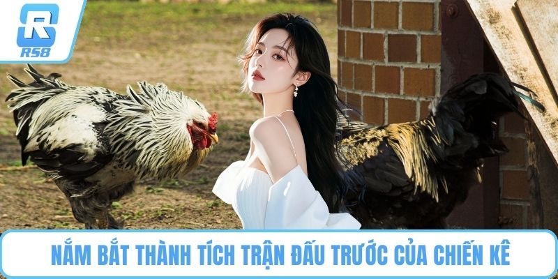 Nắm bắt thành tích trận đấu trước của chiến kê