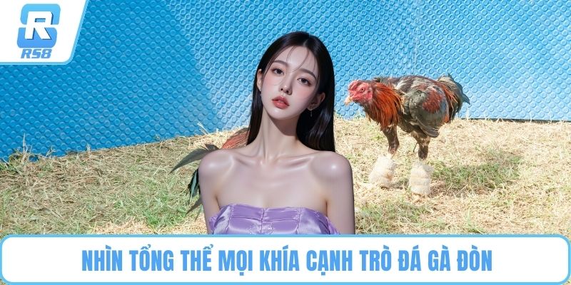 Nhìn tổng thể mọi khía cạnh trò đá gà đòn