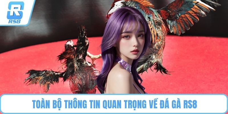 Toàn bộ thông tin quan trọng về đá gà RS8