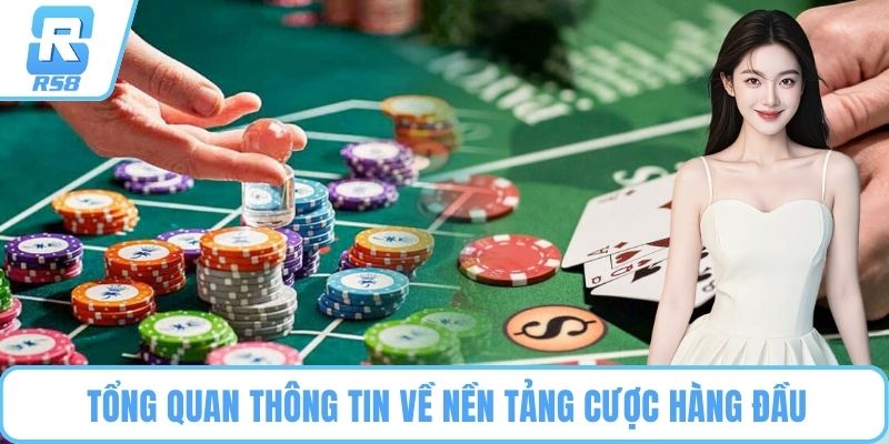 Tổng quan thông tin về nền tảng cược hàng đầu