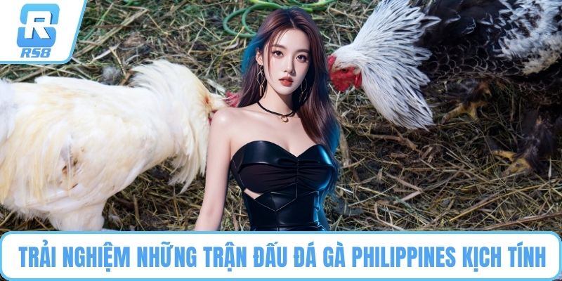 Trải nghiệm những trận đấu đá gà Philippines kịch tính