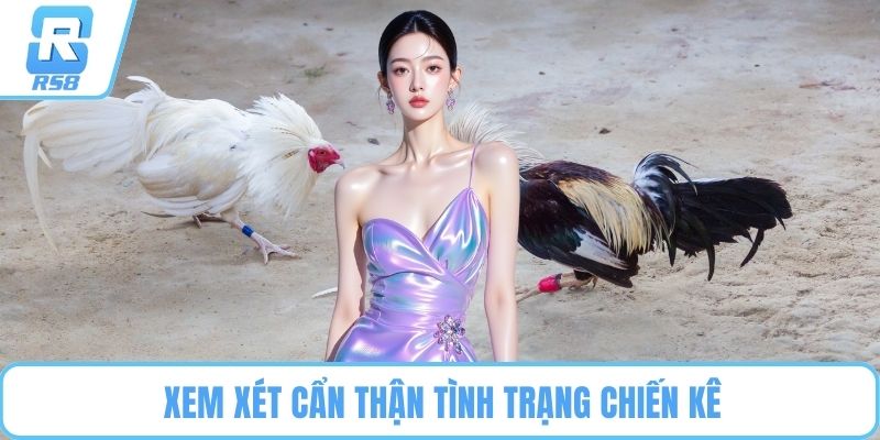 Xem xét cẩn thận tình trạng chiến kê